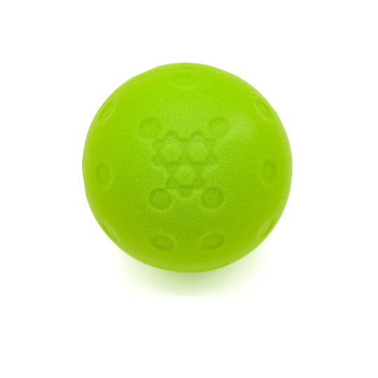 Quiet Pickleballs - Accessories - CRBN Pickleball
