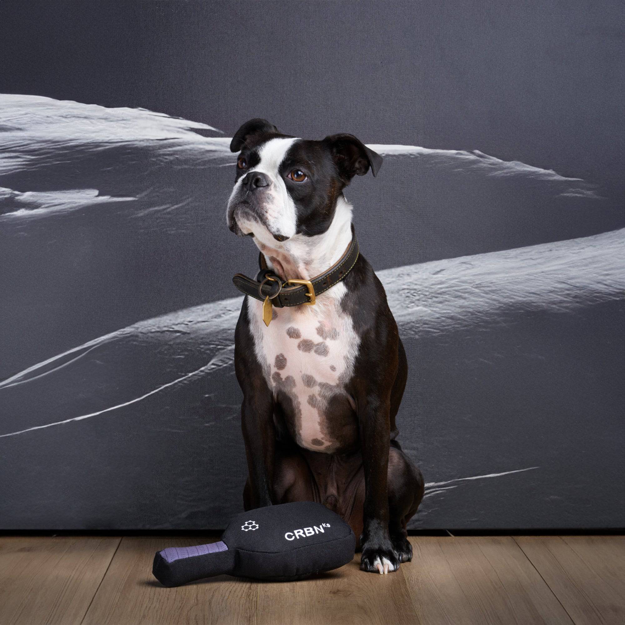 CRBNᴷ⁹ Squeak Dog Toy | CRBN Pickleball